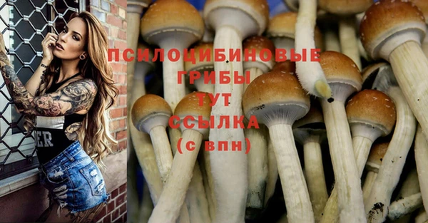 мяу мяу мука Арсеньев