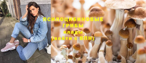 мяу мяу мука Арсеньев