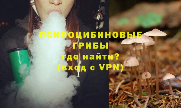 мяу мяу мука Арсеньев