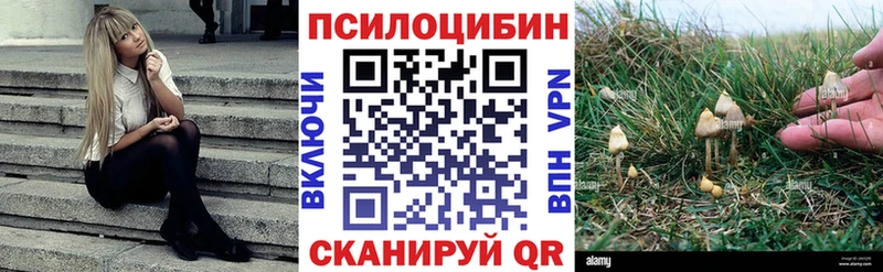 цены наркотик  Петушки  kraken зеркало  Галлюциногенные грибы мицелий 